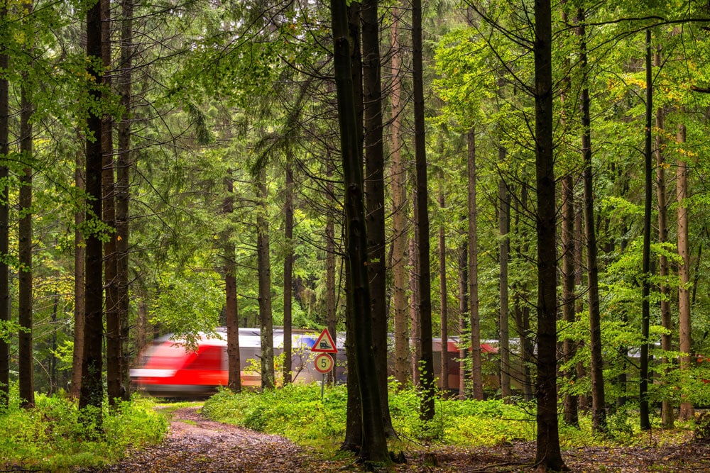 Von Olaf Bergmeier, Naturverbunden